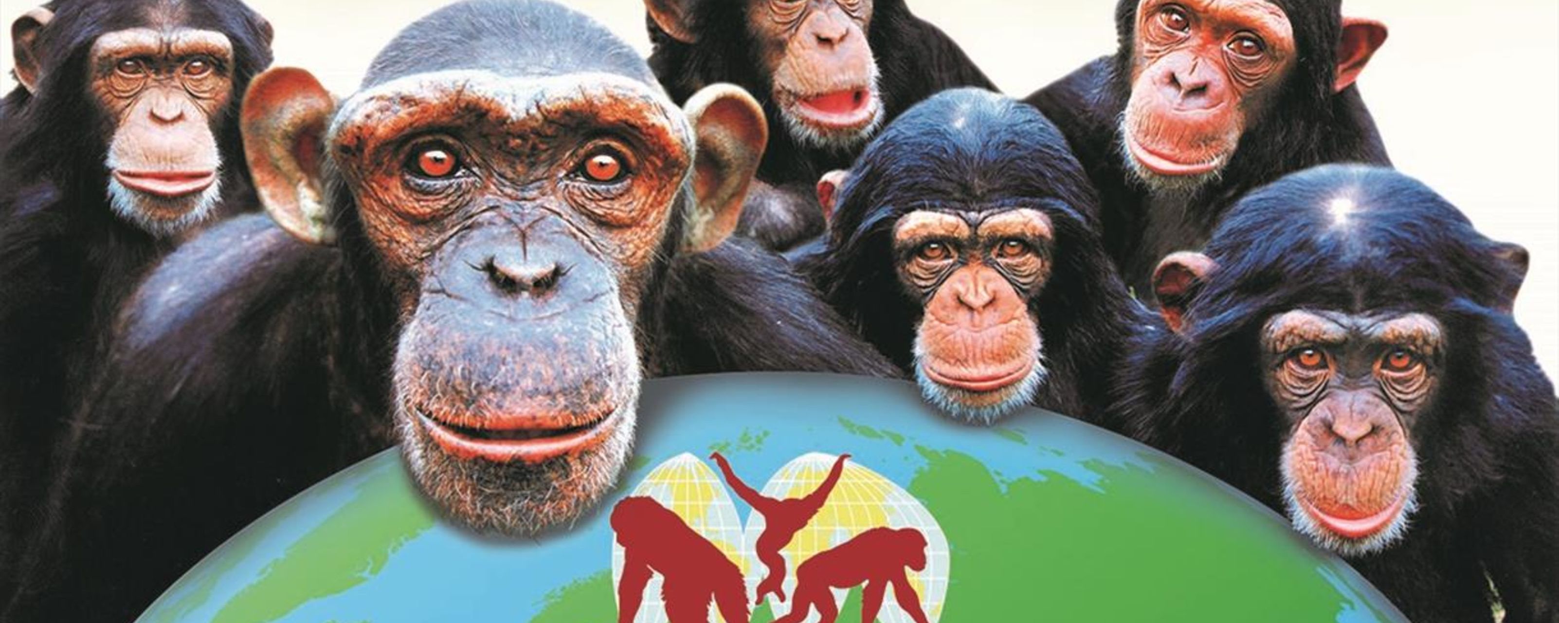 Win 2 Monkey World tickets, plus a VIP tour.